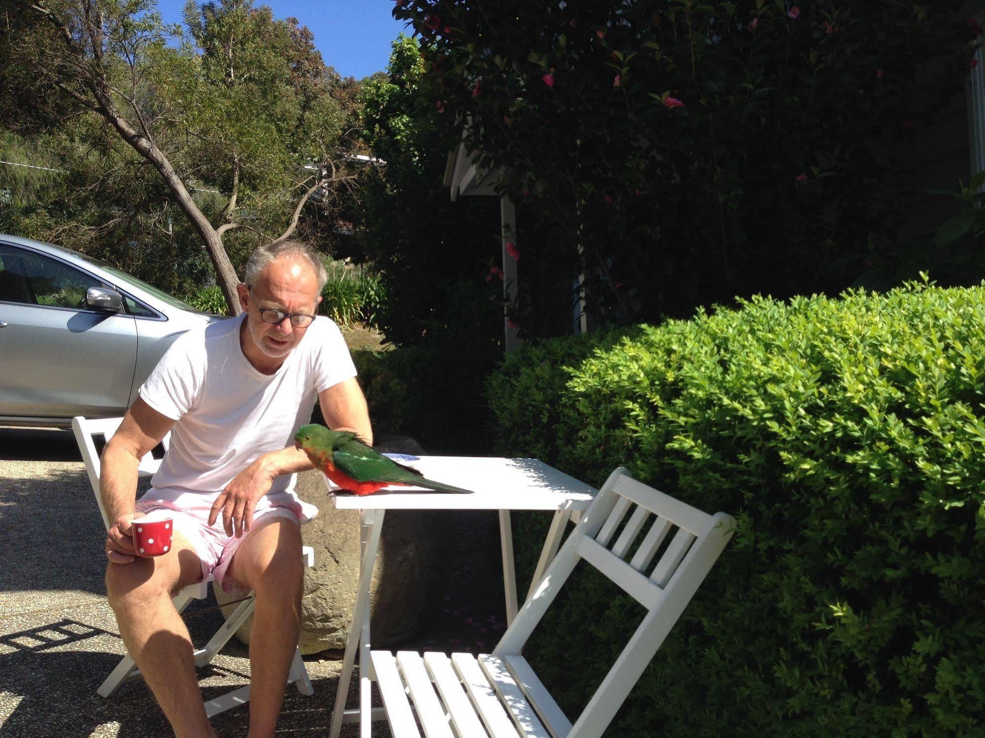 Bed and Breakfast La Perouse Lorne Esterno foto